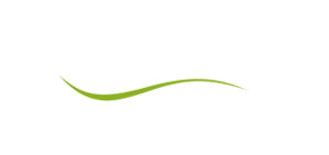 Areva Paints